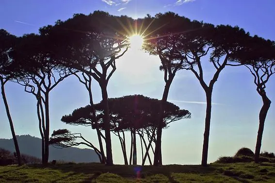 Lantgård Agriturismo Val Di Sterza Querceto  Italien